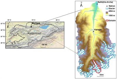 Sensitivities of Hydrological Processes to Climate Changes in a Central Asian Glacierized Basin